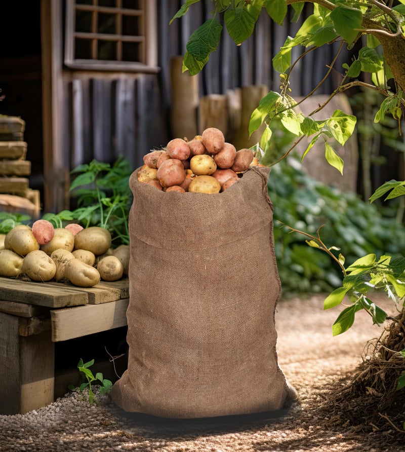 COTTON CRAFT Potato Sack Race Bags - Set of 10 Jute Burlap Bags for Kids and Adults - Playground Fitness - Outdoor Fun Games Birthday Picnic Easter Jumping Race Garden Toys Storage Santa Sacks -24x39 - Image 5